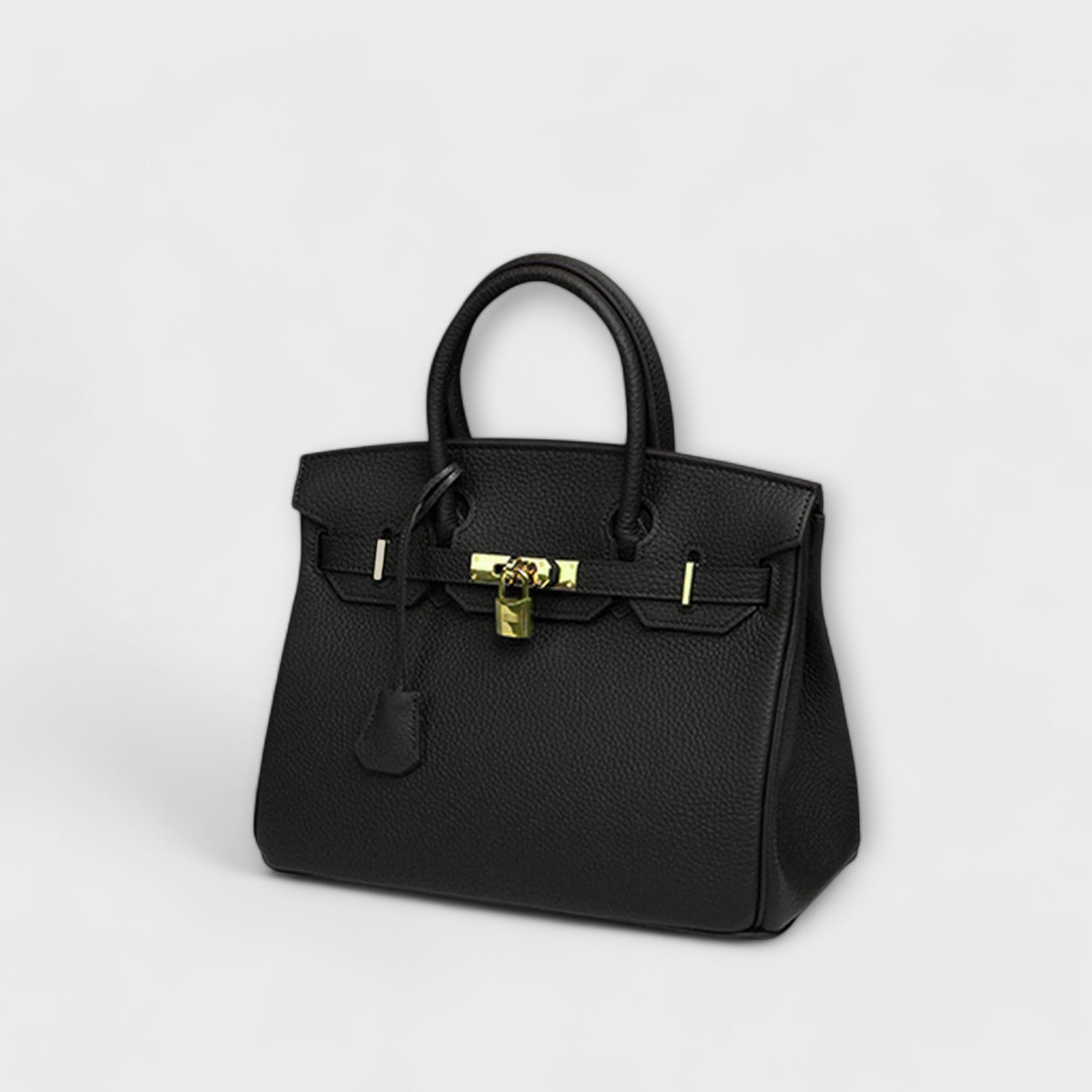 Luxurious Leather Handbag